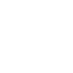 Gauge icon white